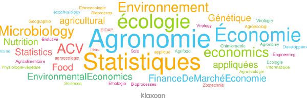 Nuage de mots comportant les thématiques des thèses