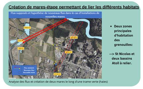 Création de mares-étape permettant de lier les différents habitats