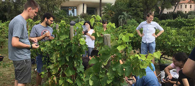 Students of the Vinefera international master's course on experimental vines on the La Gaillarde campus - Institut Agro Montpellier